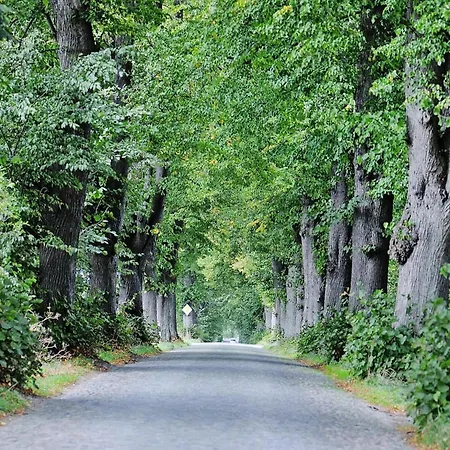 Holiday home Gutshaus In Garz