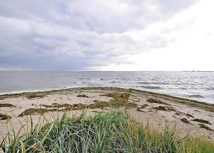 Ferienhaus Gutshaus In Garz
